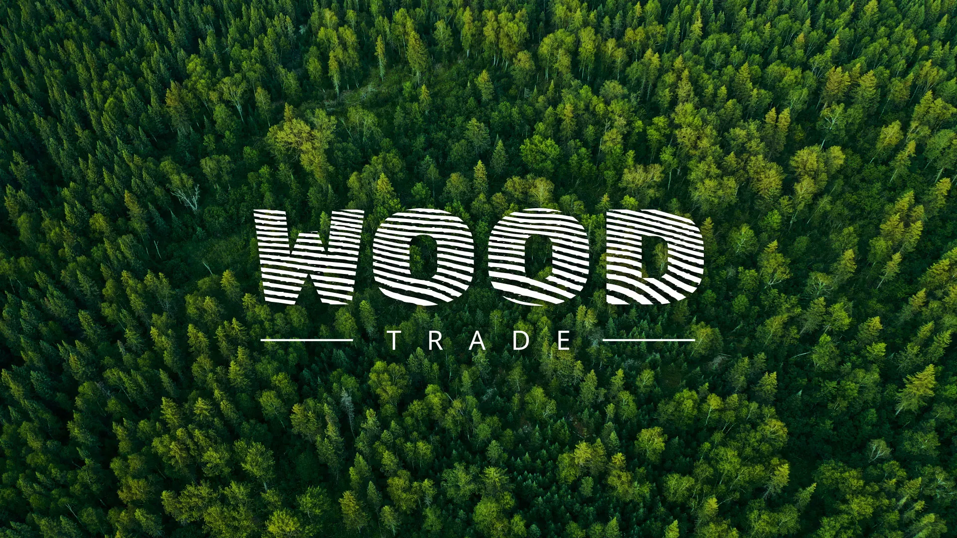 Разработка интернет-магазина компании «Wood Trade» в Омутнинске