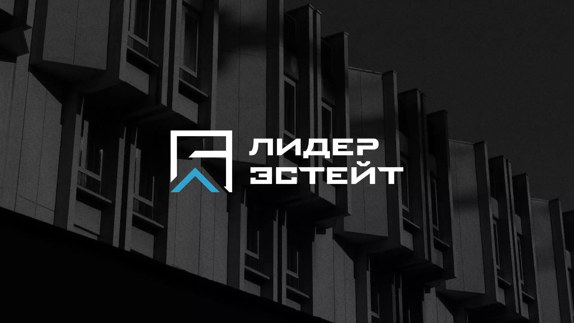 Разработка логотипа агентства недвижимости «Лидер Эстейт» в Омутнинске