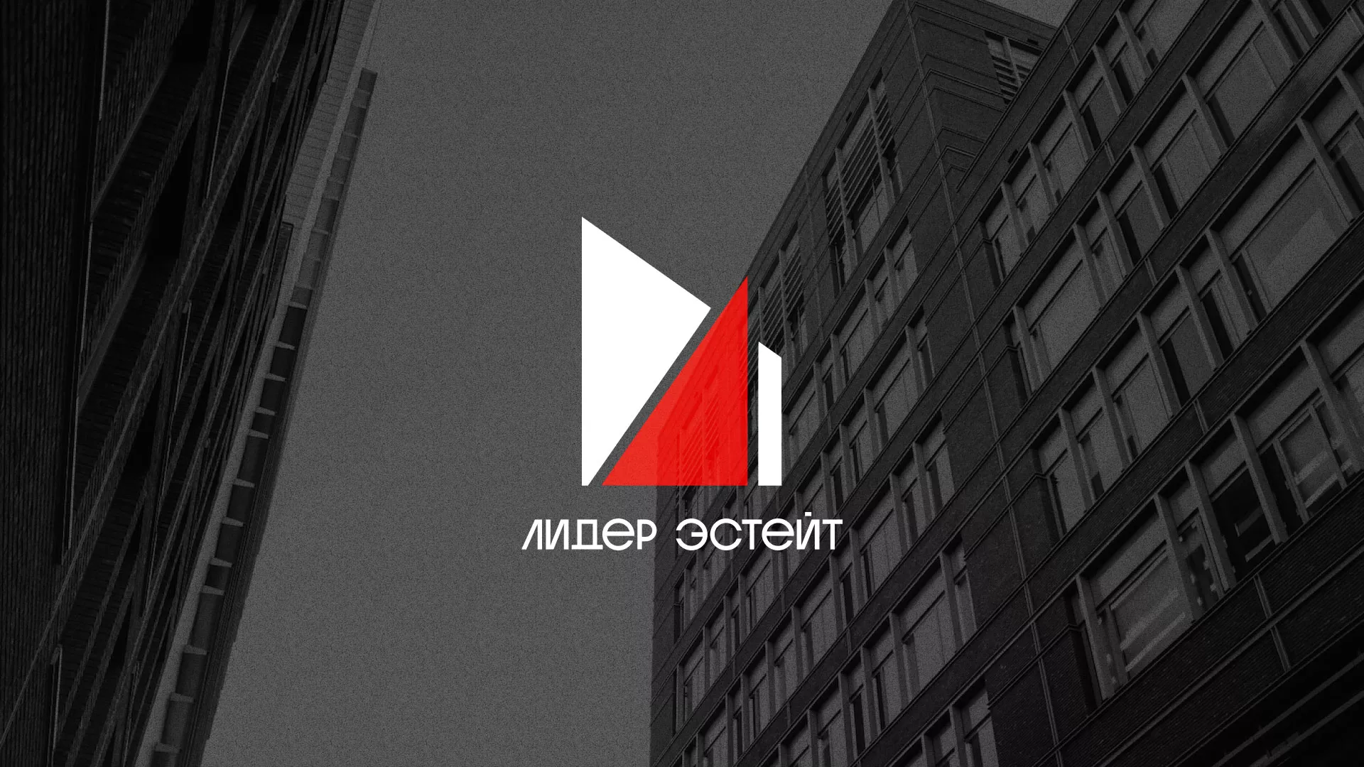 Сделали логотип для агентства недвижимости «Лидер Эстейт» в Омутнинске